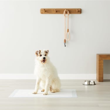 Amazon Basics Dog and Puppy Pee Pads with 5-Layer Leak-Proof Design and Quick-Dry Surface for Potty