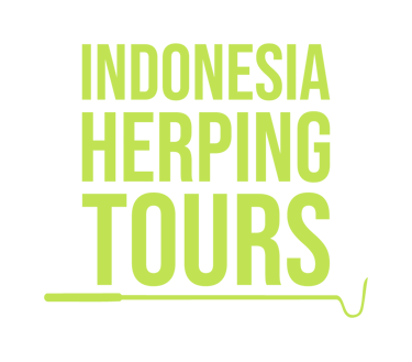 Indonesia Herping Tours logo