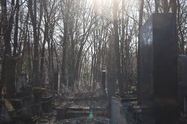 Kozma u Jewish cemetery, Budapest, Hungary