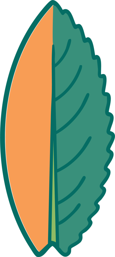 salviaboards logo