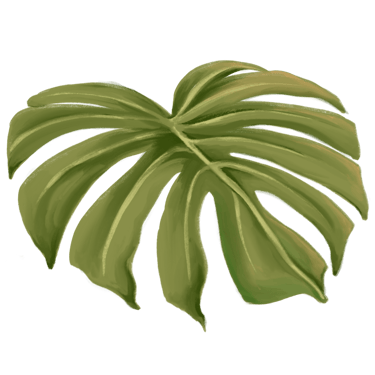 Allan & Nathalia logo