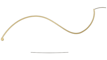 Éclat Mystique logo
