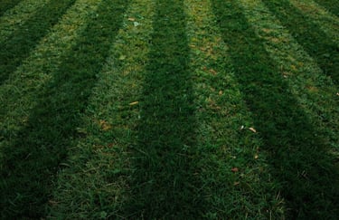 A top-down abstract photograph showing perfectly symmetrical lawn stripes in alternating shades of deep forest green and leafy green.