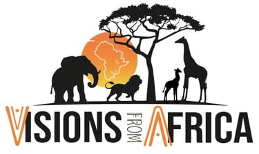 Visions From Africa logo
