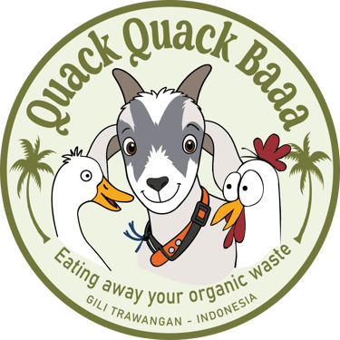 Goats Of Gili logo