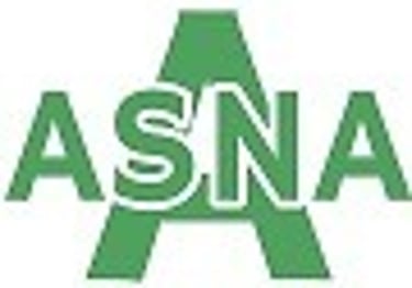 Asna Resources S.L. logo