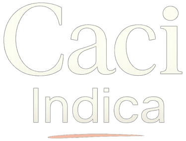 Caci Indica - Achadinhos para casa logo