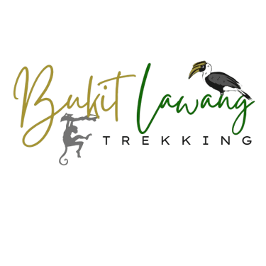 Bukit Lawang Trekking