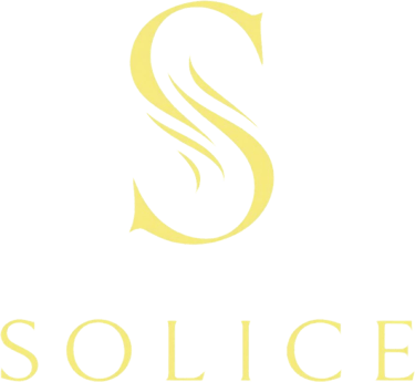 SOLICE ENTERPRISES logo