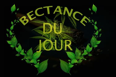 becrance du jour logo