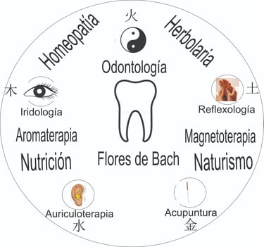 Dentalholistico logo