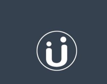 Vidu Agency India logo