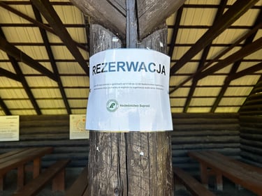 Supraśl, Podlasie, Kopna Góra, Żubr