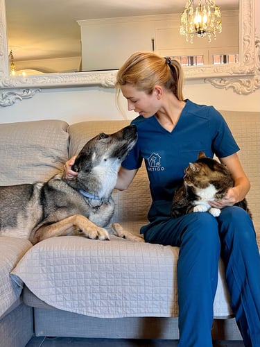 veterinaria a domicilio perros y gatos