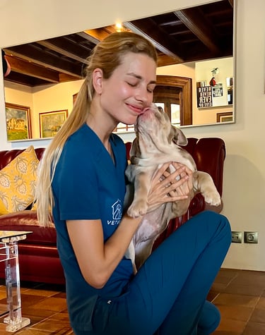 veterinaria a domicilio realizando consulta a un perro en Cardedeu