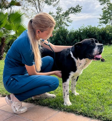 veterinaria a domicilio realizando una consulta en Granollers