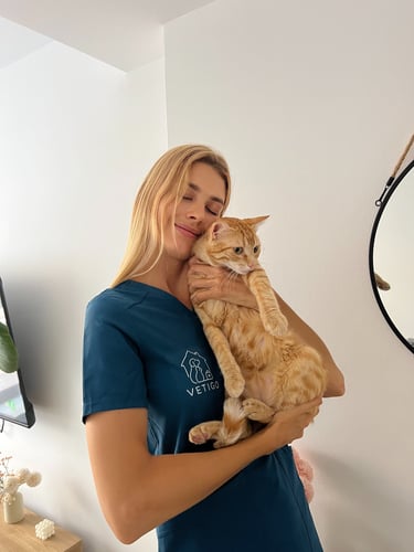 veterinaria a domicilio atendiendo a un gato en Mataró