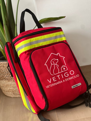 veterinaria a domicilio Vetigo