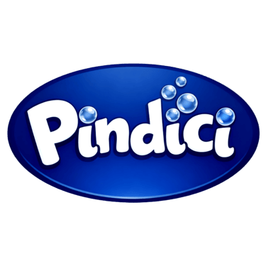 Pindici logo