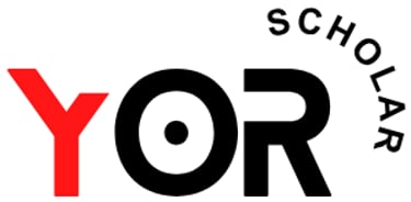 NexaVibe logo
