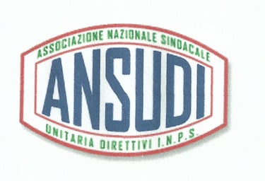 Ansudi logo