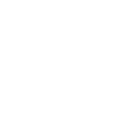 Dr Diogo Veiga Psiquiatra logo