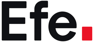 Efe WebSite logo