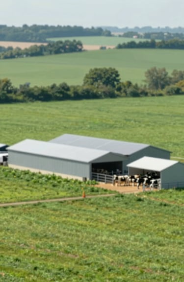 An overview of a dairy farm with green pastures (#BAC9A3) and modern equipment sheds.