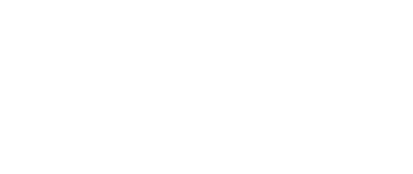 FZIEN logo
