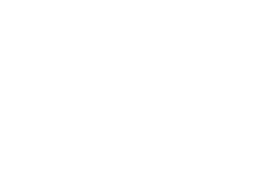 ODIN logo