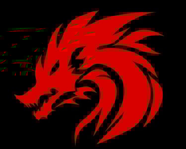 Detailing Dragons logo