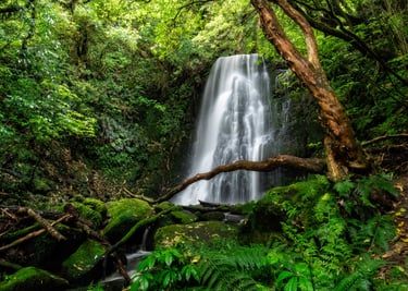 Matai Falls, Catlins Region, New Zealand South Island