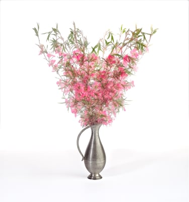 Teatree Flowers, Still Life