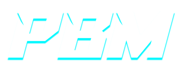 Punjabi Boyz Mods logo