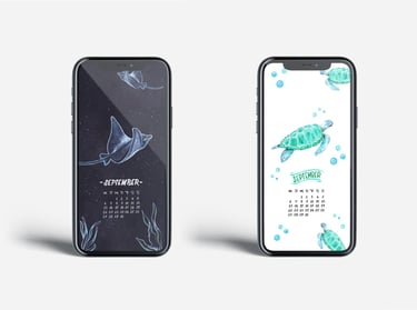 Two smartphones displaying September calendar wallpapers featuring sea turtle and stingray illustrations.