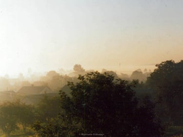 Film photograph with rural scene in the morning, where the fog is covering the village on a
