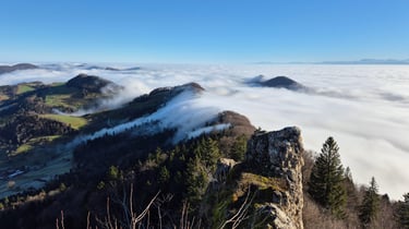 Belchenflue