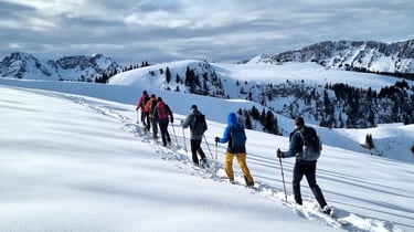 Parc Ela - Schneeschuhwandern