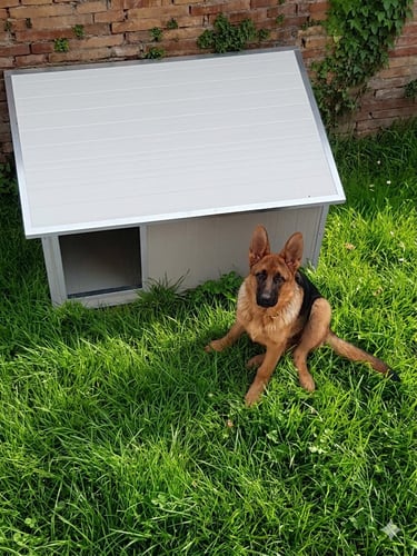 CUCCIA SU MISURA PASTORE TEDESCO