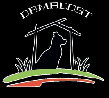 DAMACOST logo