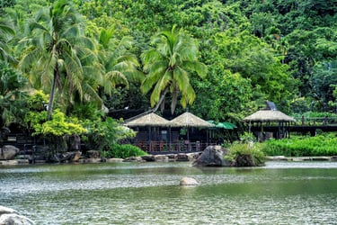 yanoda-tropical-rainforest