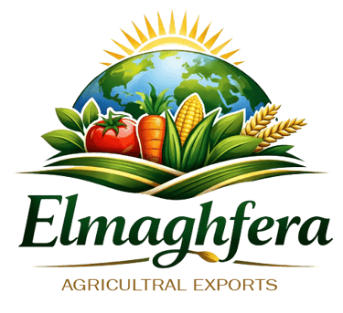 elmaghfera logo