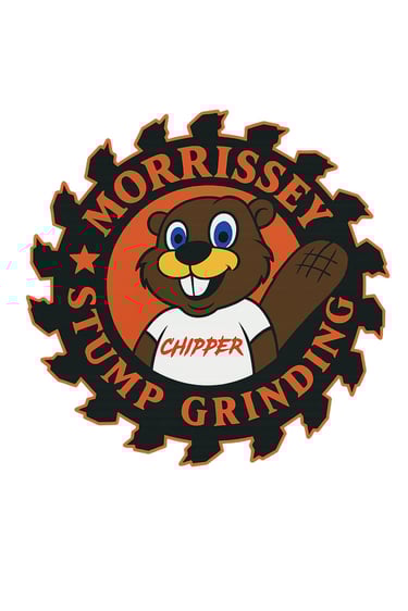 Morrissey Property Services logo