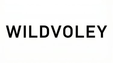 Wild Voley logo