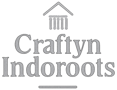Craftyn Indoroots Private Limited logo
