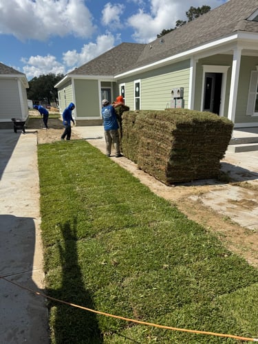 Professional landscapers installing fresh sod pallets for a new residential lawn.