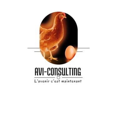 Avi-Elite Consulting logo
