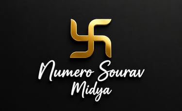 Numero Sourav Midya logo