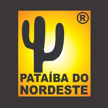 SolNordeste logo