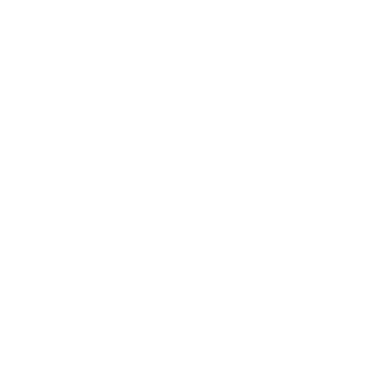 Sense It logo